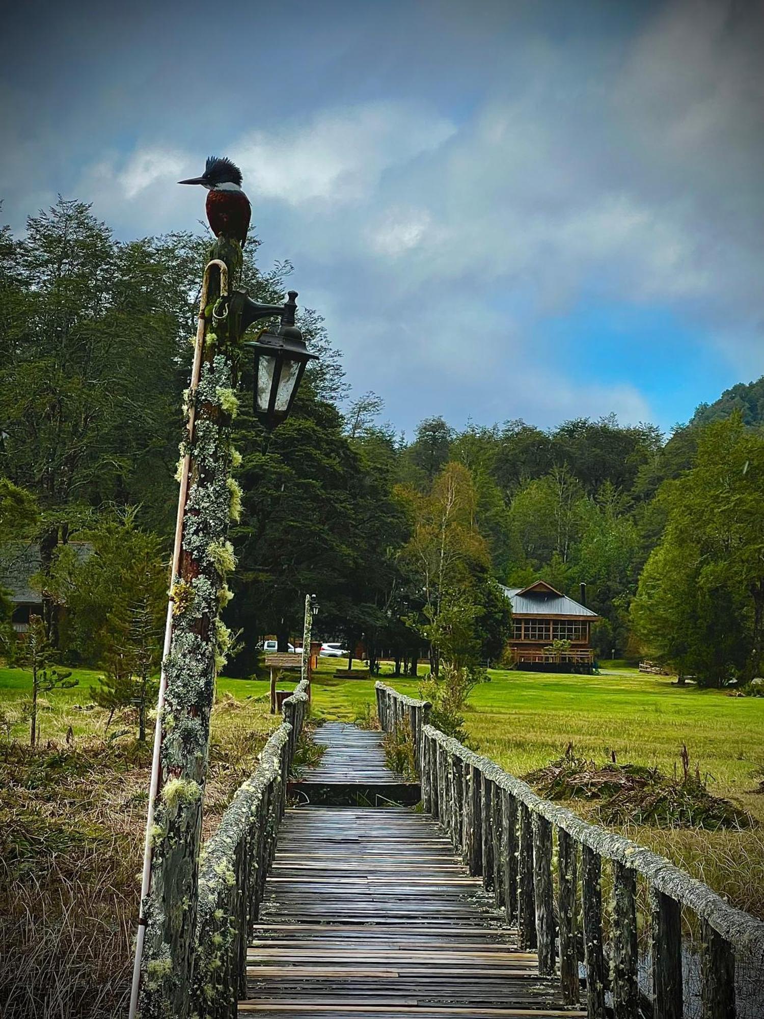 El Pangue Lodge Puerto Puyuguapi Dış mekan fotoğraf